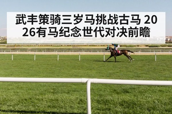 武丰策骑三岁马挑战古马 2026有马纪念世代对决前瞻